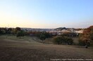 東山田公園(公園)まで651m コ－ポラストマト