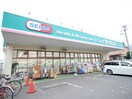 セイムス(ドラッグストア)まで450m ヴィラ川村２