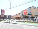 ベルク(スーパー)まで800m ヴィラ川村２