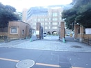 東京大学　弥生キャンパス(大学/短大/専門学校)まで899m アリーチェ文京根津