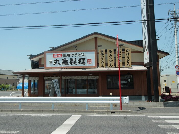 丸亀製麺(その他飲食（ファミレスなど）)まで215m ディアス  Ｃ館