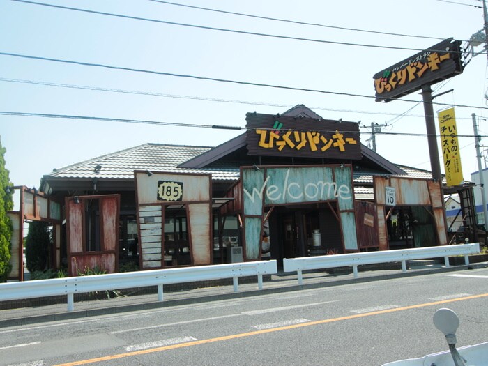 びっくりドンキー(その他飲食（ファミレスなど）)まで237m ディアス  Ｃ館