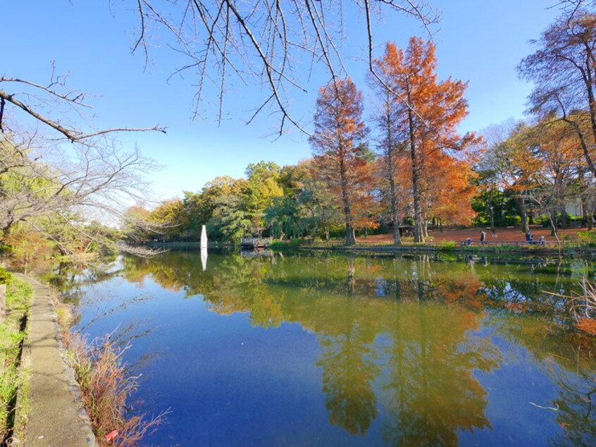石神井公園(公園)まで400m パ－クサイドパレス
