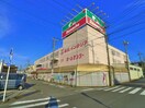 島忠ホームズ川口店(電気量販店/ホームセンター)まで664m アンプル－ルフェ－ルＳｋｙ