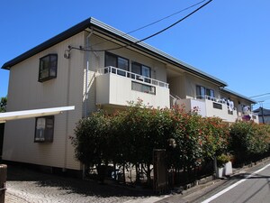マイネハイム