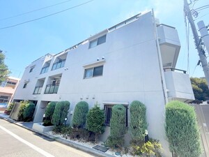 ﾐｭｰｼﾞｯｸﾏﾝｼｮﾝ ﾒｿﾞﾌｫﾙﾃ(303)