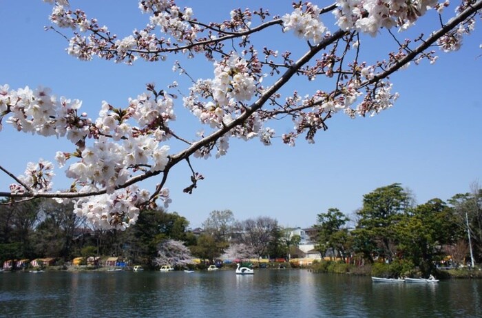 洗足池公園(公園)まで360m フェリ－ス北千束