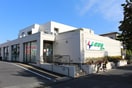 しまむらストア(ショッピングセンター/アウトレットモール)まで466m りんごハウス湘南