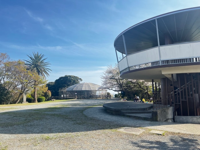披露山公園(公園)まで1500m テラス堀の内