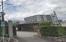 菊田医院(病院)まで330m グリーンハイツ柏台Ａ