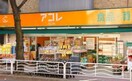 アコレ 板橋幸町店(スーパー)まで334m シ－ガルハイツ