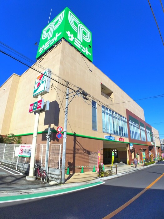 サミットストア板橋弥生町店(スーパー)まで323m ハウス山川