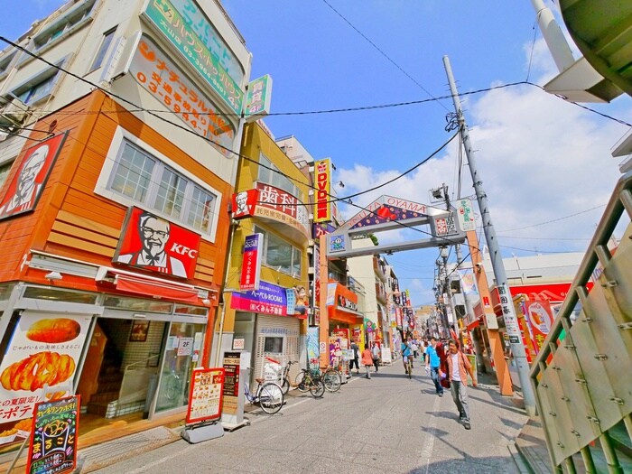 大山遊座商店街(ショッピングセンター/アウトレットモール)まで914m ハウス山川