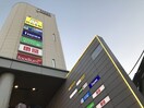 ノジマ下北沢店(電気量販店/ホームセンター)まで1094m すみれ荘