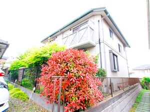 グリーンテラス