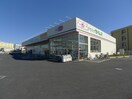 セイムス八潮店(ドラッグストア)まで1100m みさとガーデン