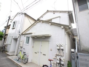 メゾンシュガー