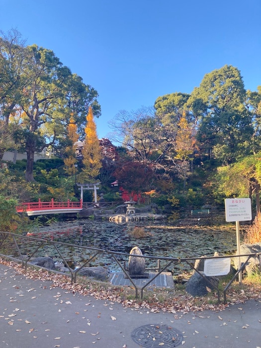 須藤公園(公園)まで100m ベルグ文京千駄木