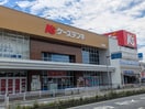 ケーズデンキ岩槻店(電気量販店/ホームセンター)まで400m Will Grano岩槻