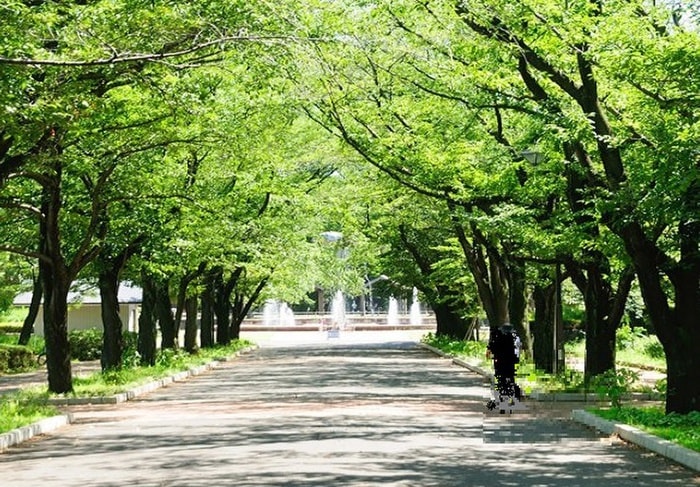 府中の森公園(公園)まで750m ヴィータローザ東府中
