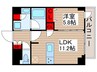 DIPS北千住(501) 1LDKの間取り