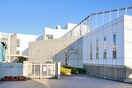 大和田小学校(小学校)まで1310m クリエ－ル志木