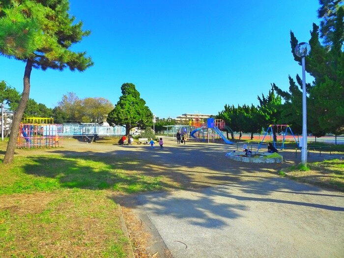 行徳中央公園(公園)まで184m 行徳グリーンハイツ