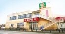 ライフ 相模原若松店(スーパー)まで982m アムールDS