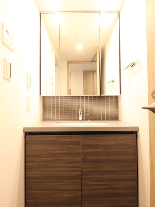 洗面 ザ・パークハビオ月島フロント