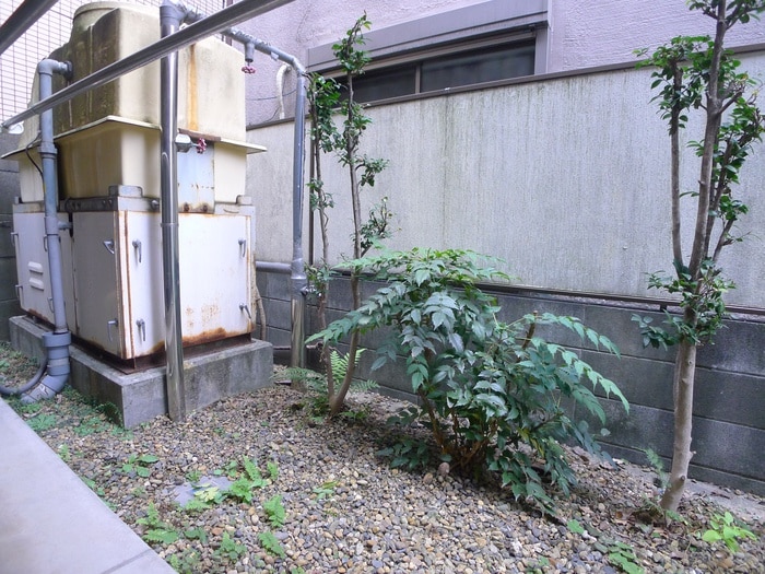 室内からの展望 いちごパレス