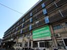 新渡戸記念中野総合病院(病院)まで183m 石松ハウス