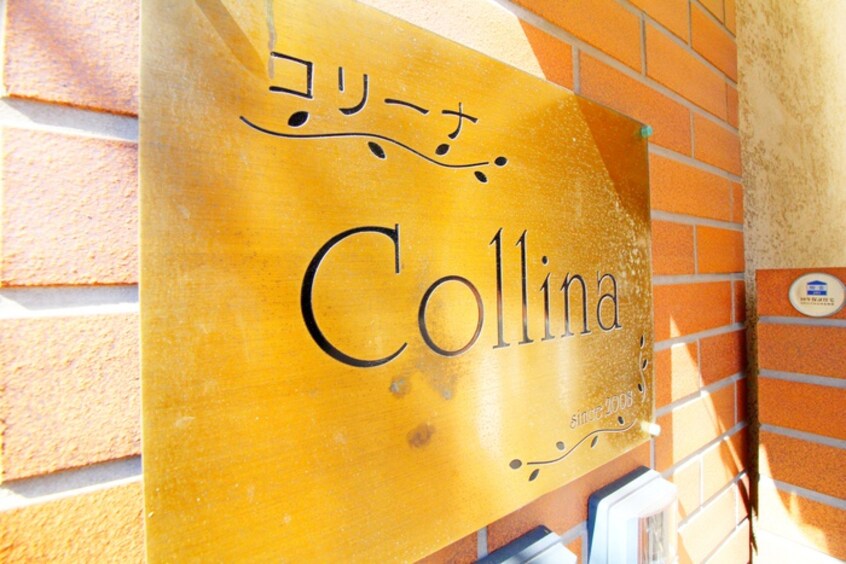 その他 Ｃｏｌｌｉｎａ(コリ－ナ)