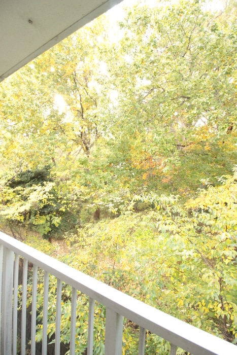 室内からの展望 ヴァルト神