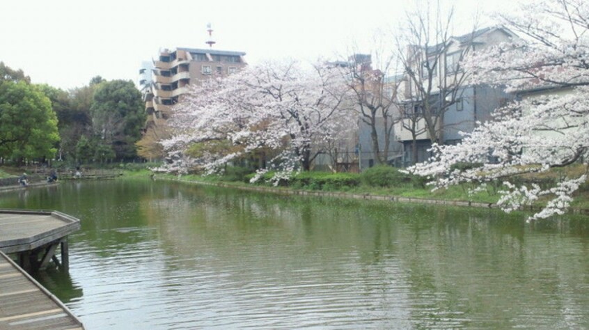 平和の森公園(公園)まで283m メインステージ平和島Ⅱ