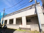 コートアオイ