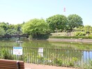 鹿沼公園(公園)まで1260m ロッシェル千代田