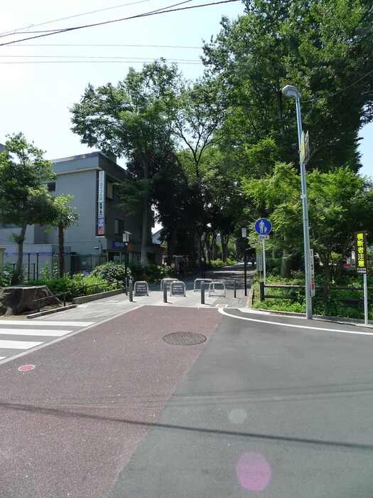 氷川参道(公園)まで20m ＰＬＵＭＥＲＩＡ大宮仲町