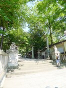 調神社(公園)まで320m ﾊｲﾂ柿の木