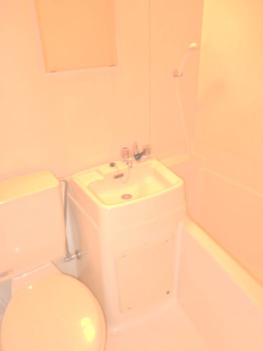 洗面 カルタス２１駒場東大前