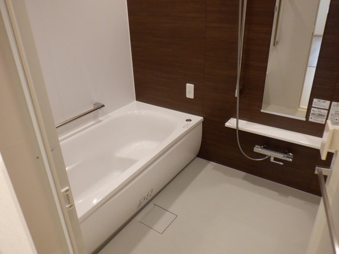 バス／シャワールーム等 ﾌﾟﾛﾐﾗｲｽﾞ青葉台ｽﾃｰｼｮﾝｻｲﾄﾞ(D209)