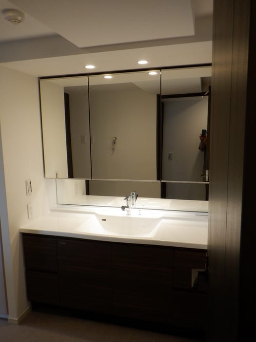 洗面 ﾌﾟﾛﾐﾗｲｽﾞ青葉台ｽﾃｰｼｮﾝｻｲﾄﾞ(D209)