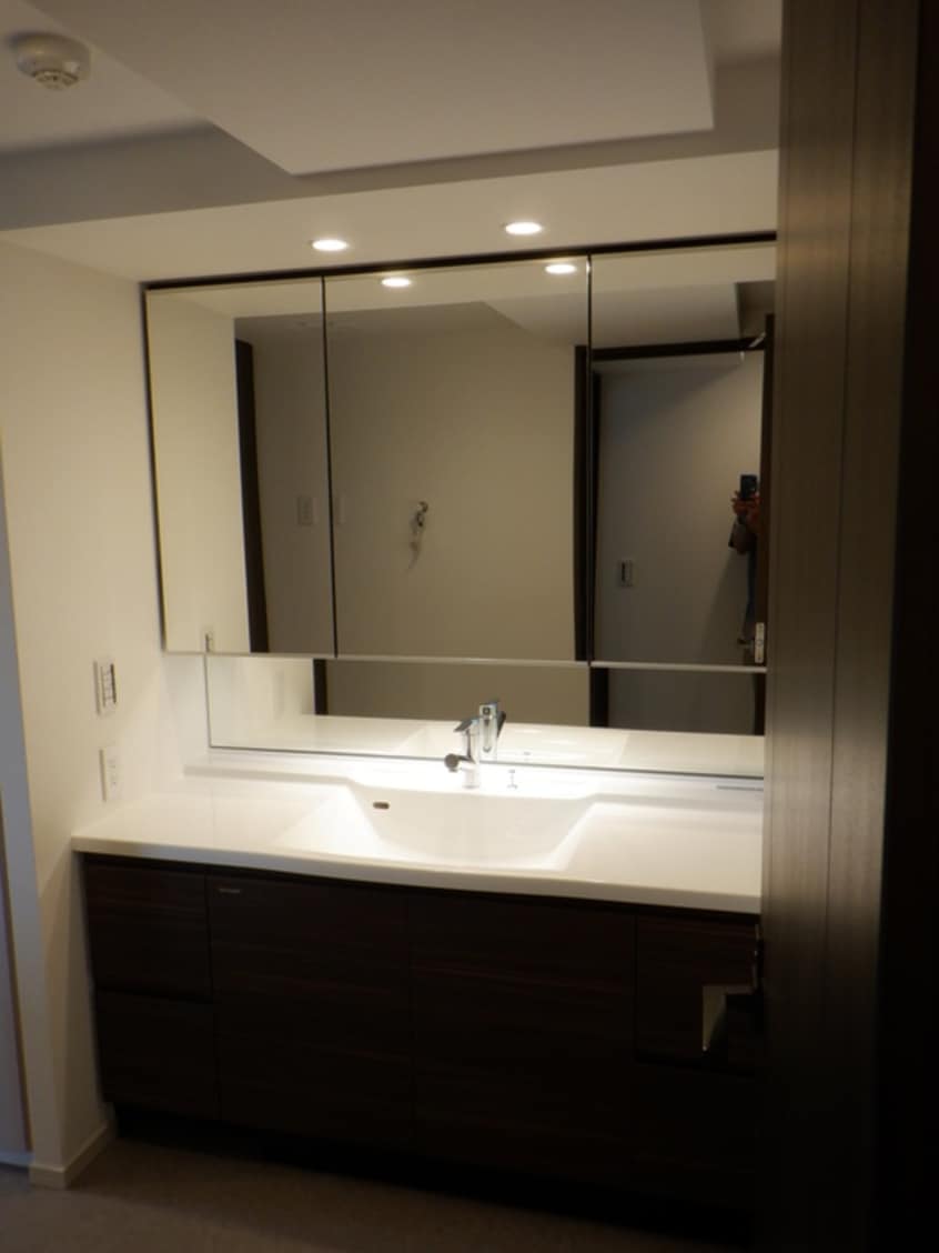 洗面 ﾌﾟﾛﾐﾗｲｽﾞ青葉台ｽﾃｰｼｮﾝｻｲﾄﾞ(D209)