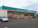 ドラッグセイムス 世田谷給田店(ドラッグストア)まで864m ぷらあな