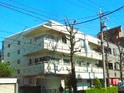完成写真