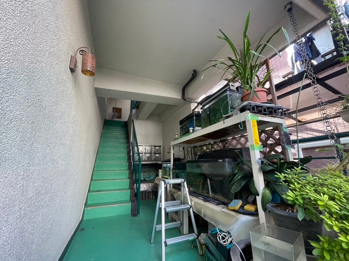 エントランス部分 コ－ポ二幸