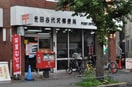 世田谷代沢郵便局(郵便局)まで198m サンライズＭ＆Ｍ