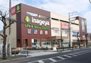 いなげや(スーパー)まで210m 柳沢台マンション