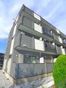 その他 プラシード