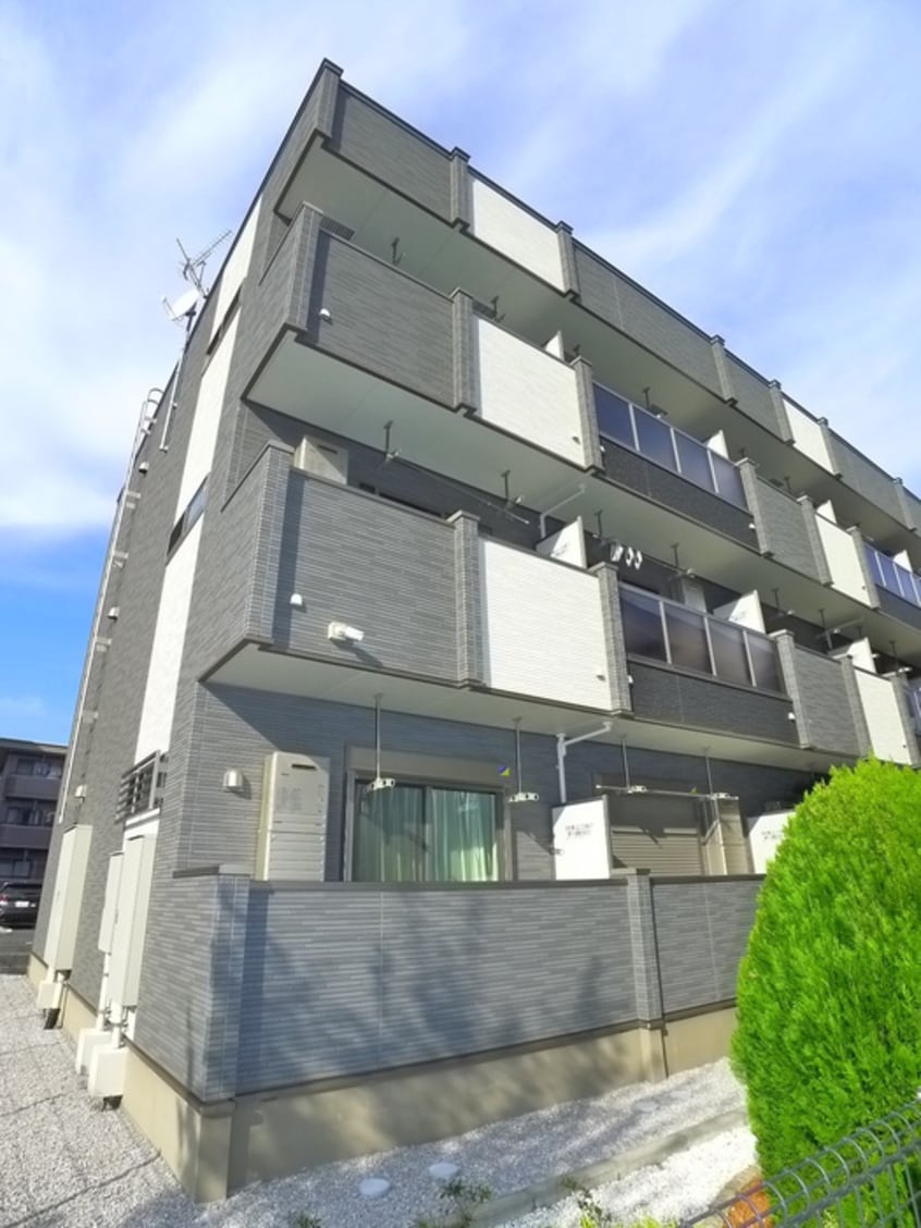 その他 プラシード