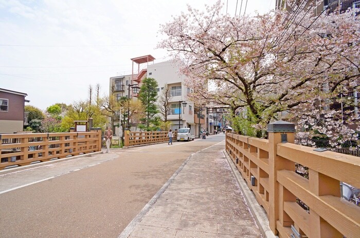 石神井川(美術館/博物館)まで151m 上地荘Ａ棟